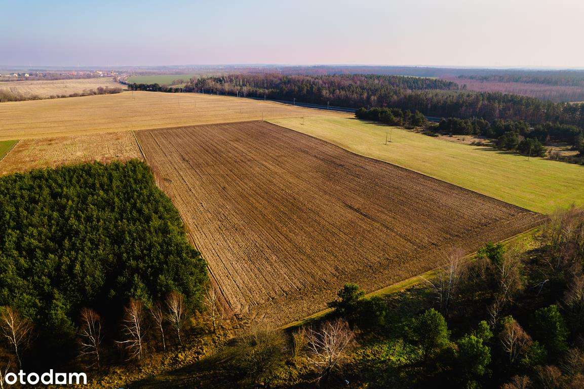 Nowe działki przy lesie 12 min od centrum Słupska - Pełny obrazek: 4/11