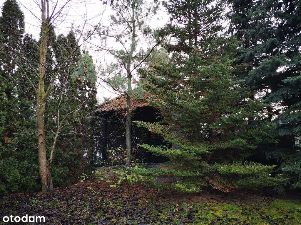 Przestronny dom w Kiekrzu NOWA CENA !-4