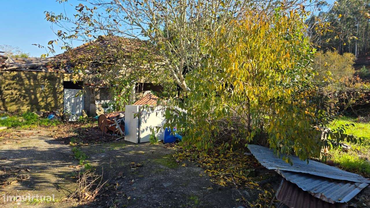 Casa Antiga em Albergaria dos Doze, Pombal-14