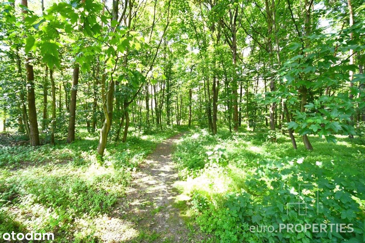 Działka z M.P.Z.P. nad jeziorem :: 197/3.8 - 1197m-12