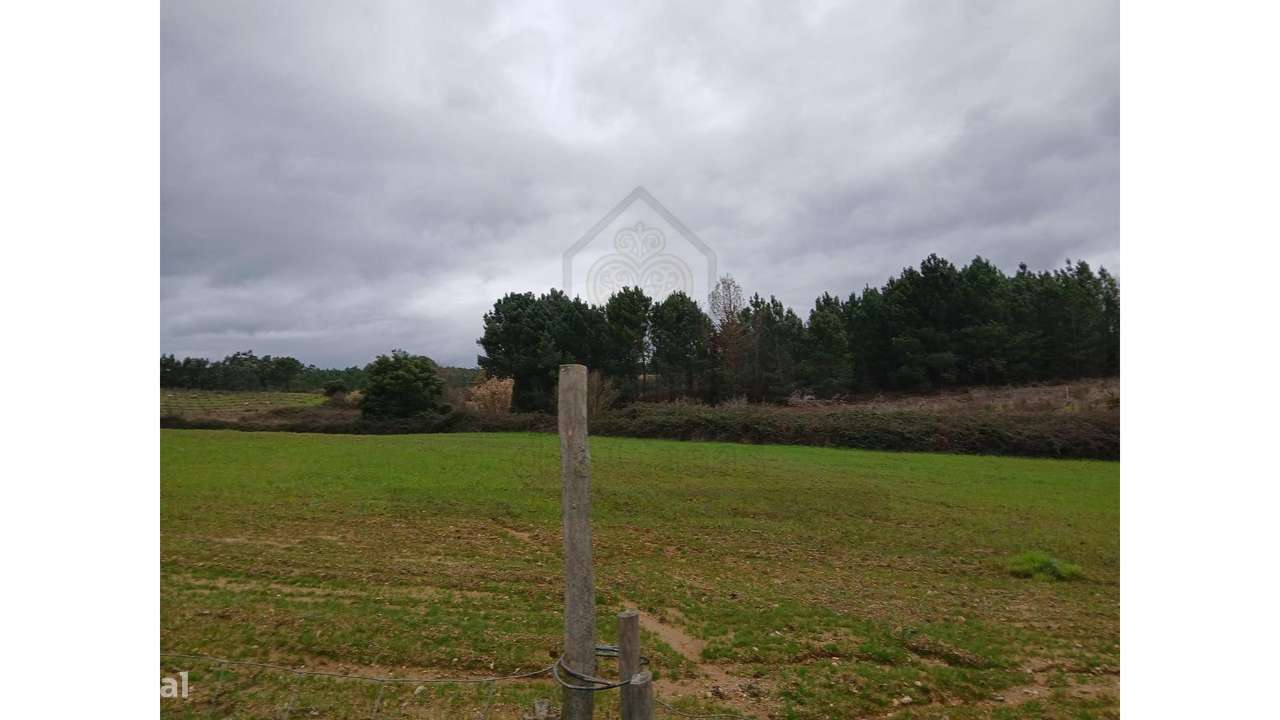 Quinta a 30 Minutos de Lisboa - Grande imagem: 4/32