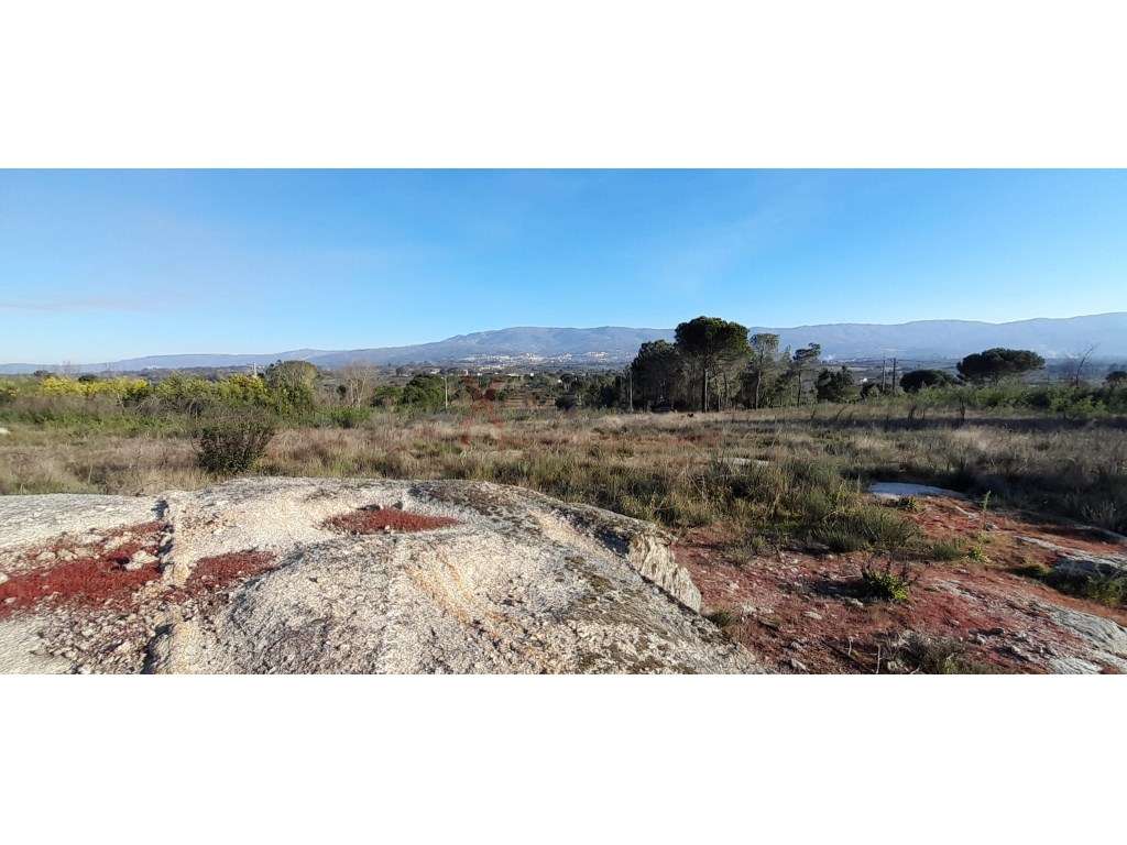 Terreno - Grande imagem: 4/8