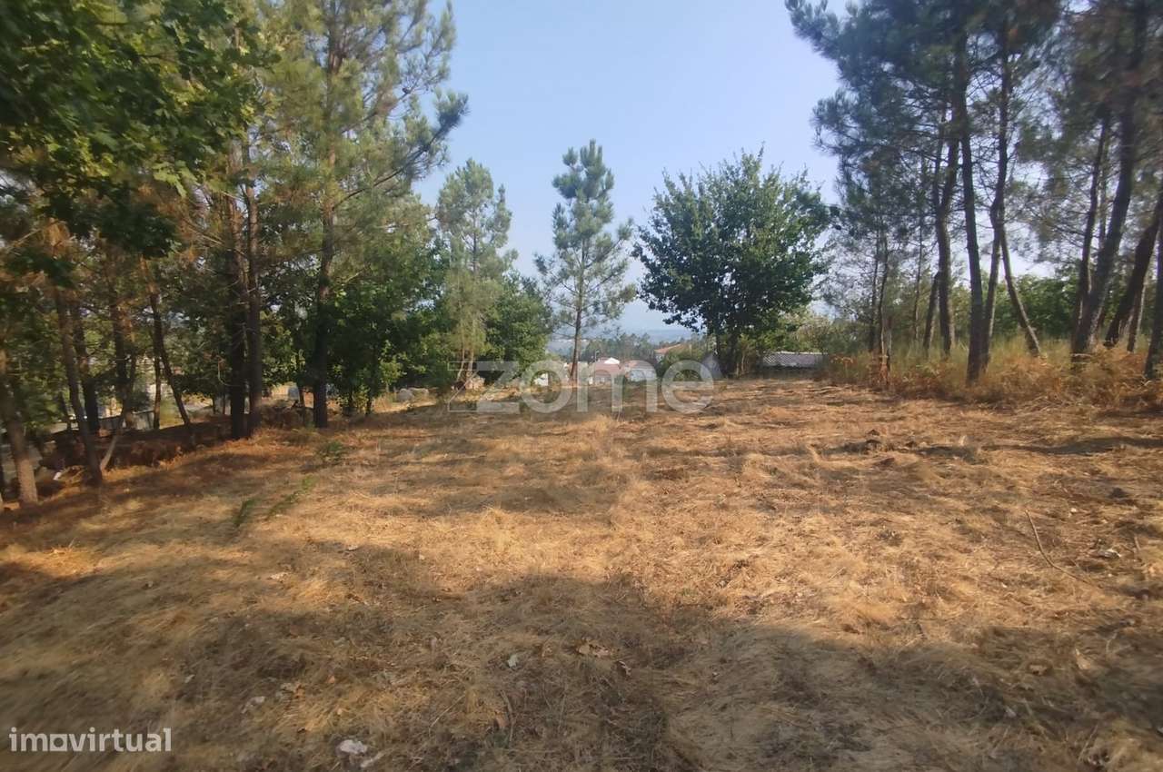 Terreno com 2.500 m2 urbanizaveis Energia, Água, Saneamento e Fibra - Grande imagem: 4/47