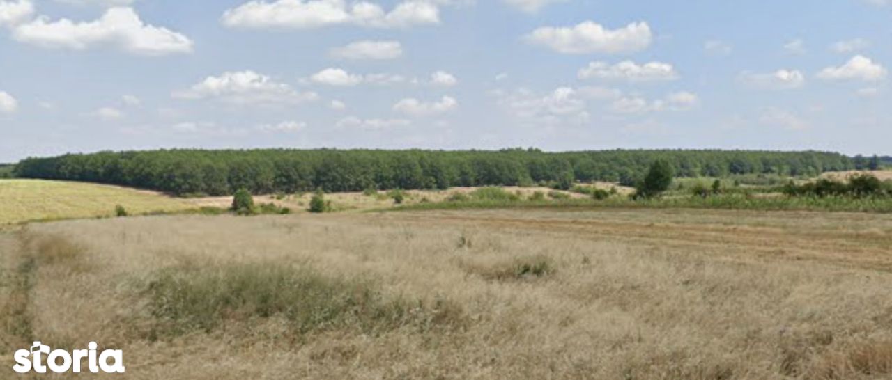 Padure, teren Forestie, de 284 ha in jud Mehedinti, Foioase.