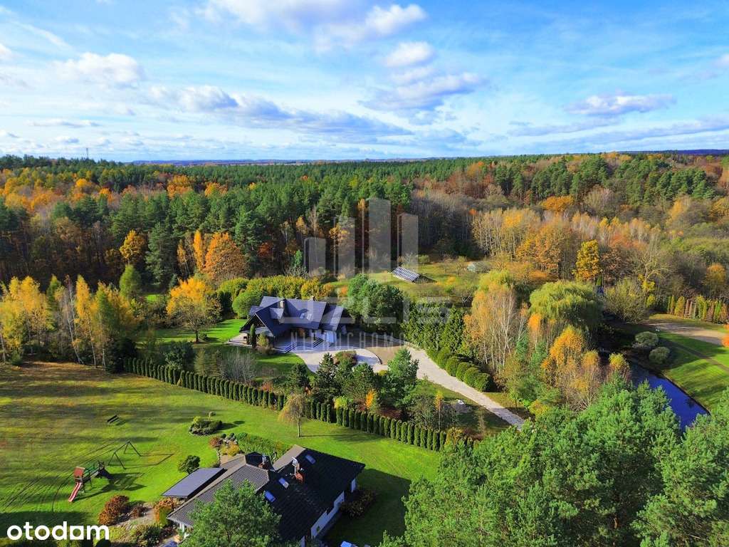 Dom z bali z piękną działką, las, rzeka - Pełny obrazek: 4/20