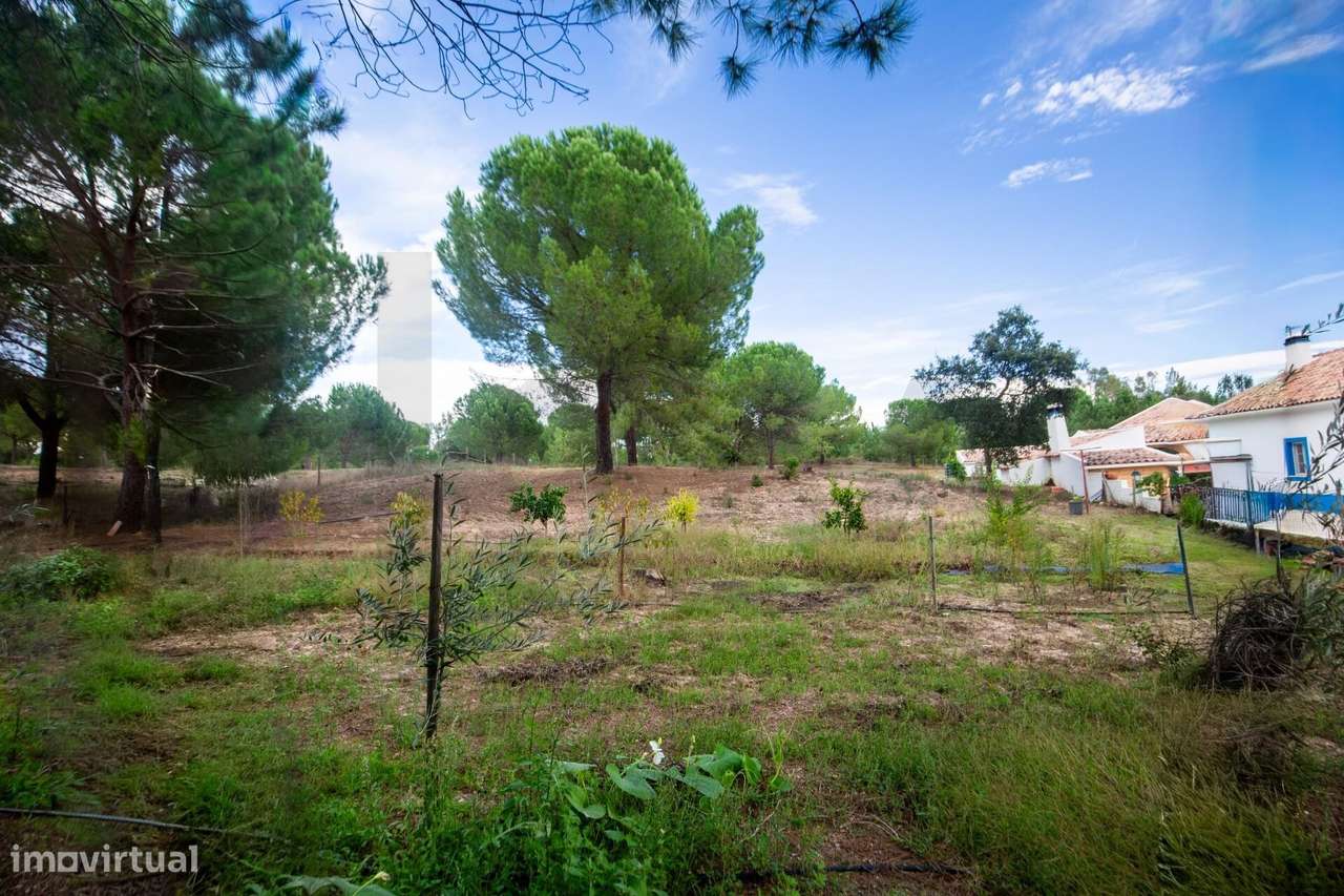 Monte Alentejano de Charme — Tranquilidade e Conforto a 25 km de Mo - Grande imagem: 4/60