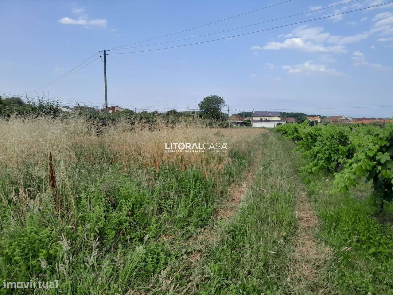 Terreno para construção no Troviscal - Grande imagem: 3/7