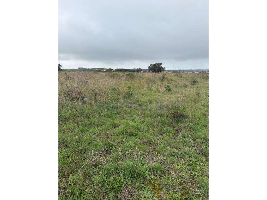 Vende-se Terreno com mais de 2ha na Terrugem - Grande imagem: 4/8