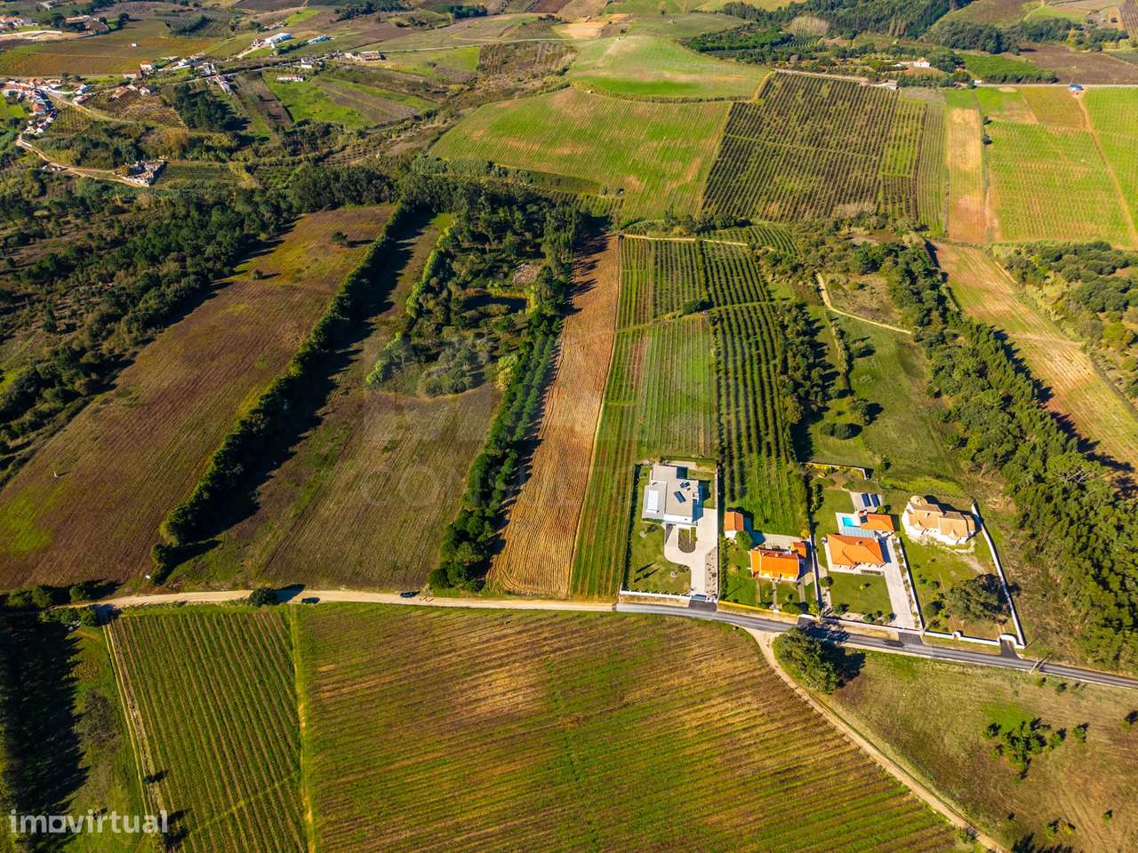 Terreno de 7240m2 com vista deslumbrante para a Serra do Montejunto - Grande imagem: 5/9