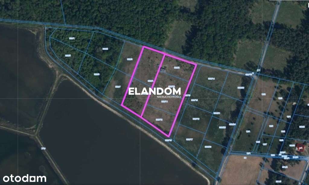 Działki, Grzegorzewice, oaza spokoju, pow. 18777m2 - Pełny obrazek: 5/6