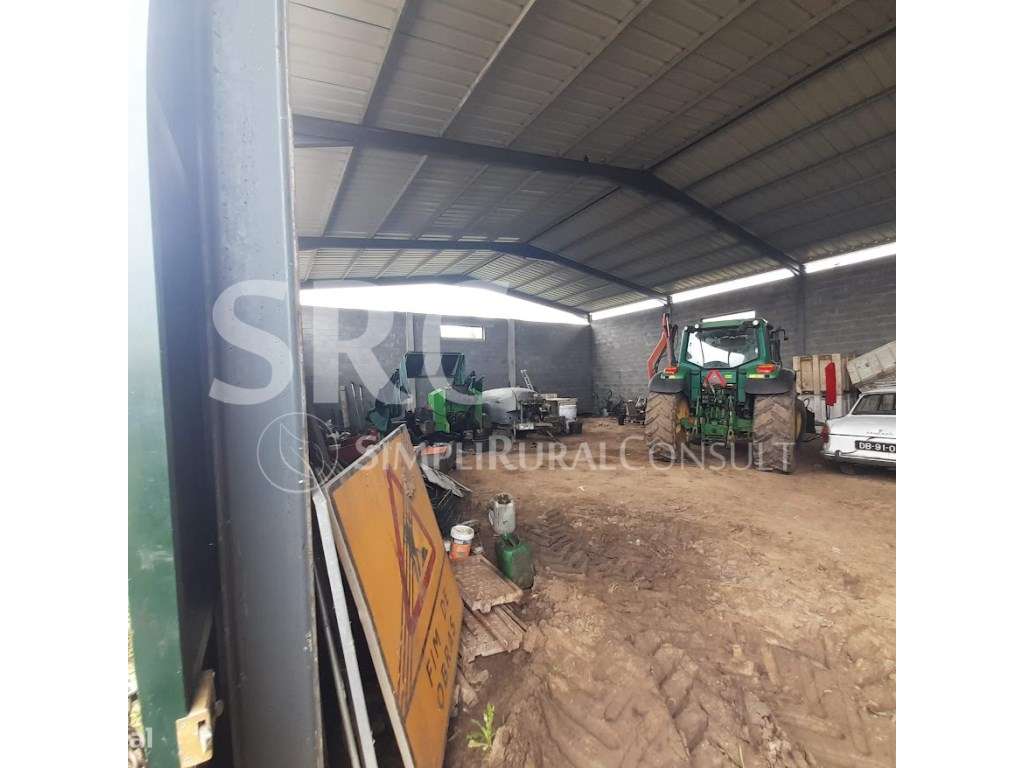 Herdade do olival das Barreiras-35