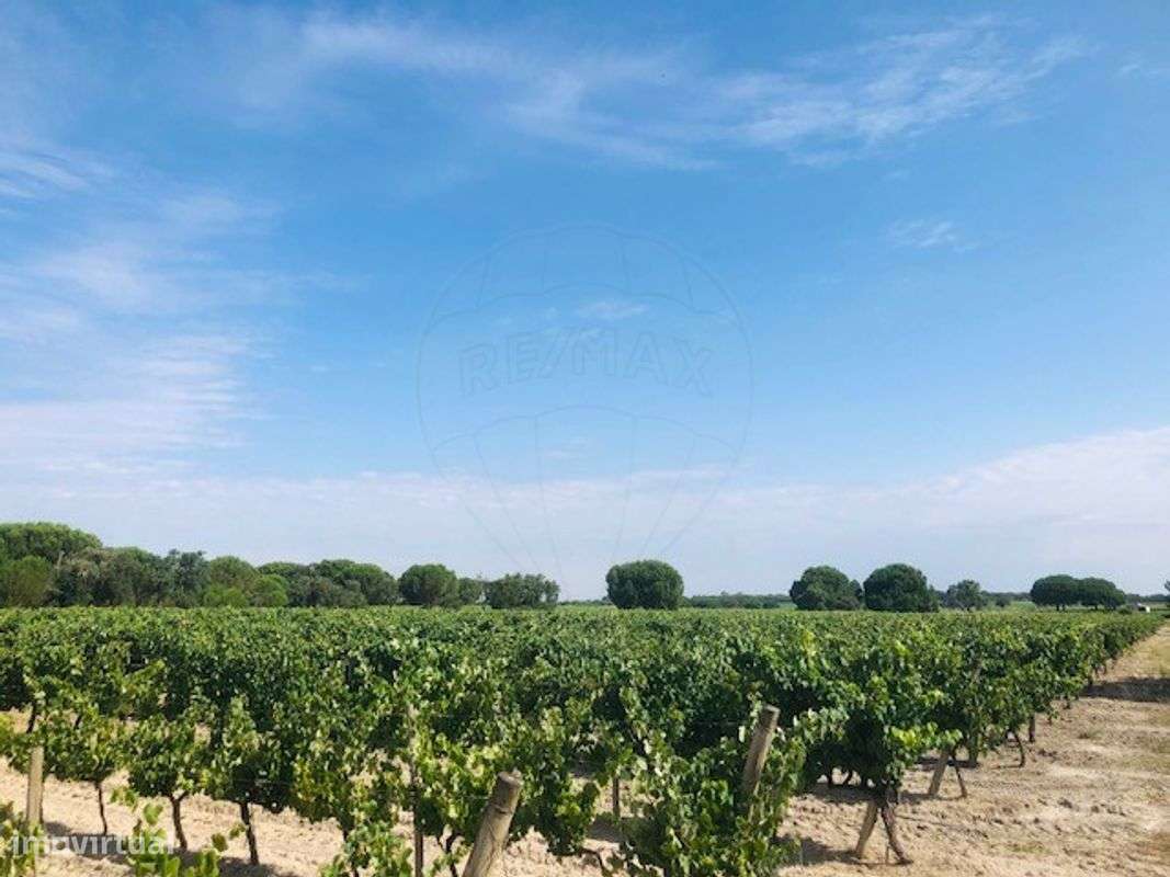 Terreno  para venda - Grande imagem: 3/6