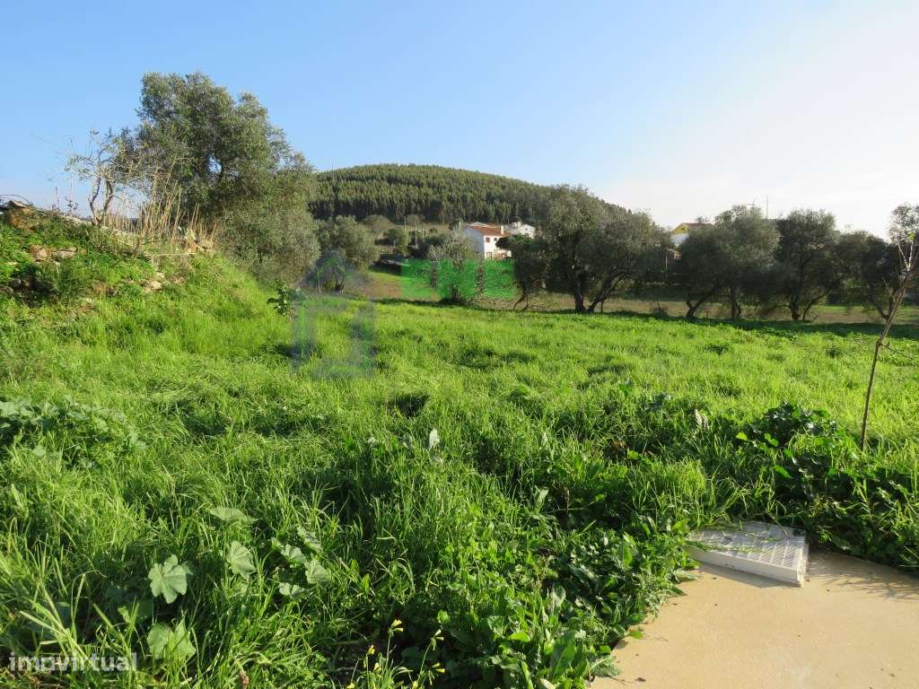 Quinta em São Miguel de Alcainça - Grande imagem: 4/34