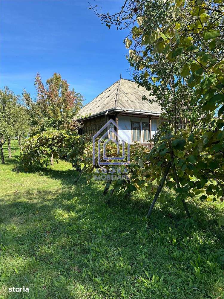 48 ari teren , cu casa batraneasca, Antoceni, Forasti, Suceava - Imagine principală: 2/9