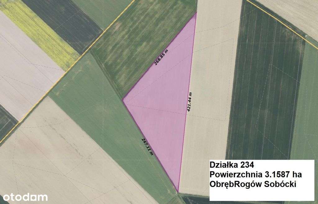 Działka rolna 3,16ha w Rogowie Sobóckim - trójkąt-1