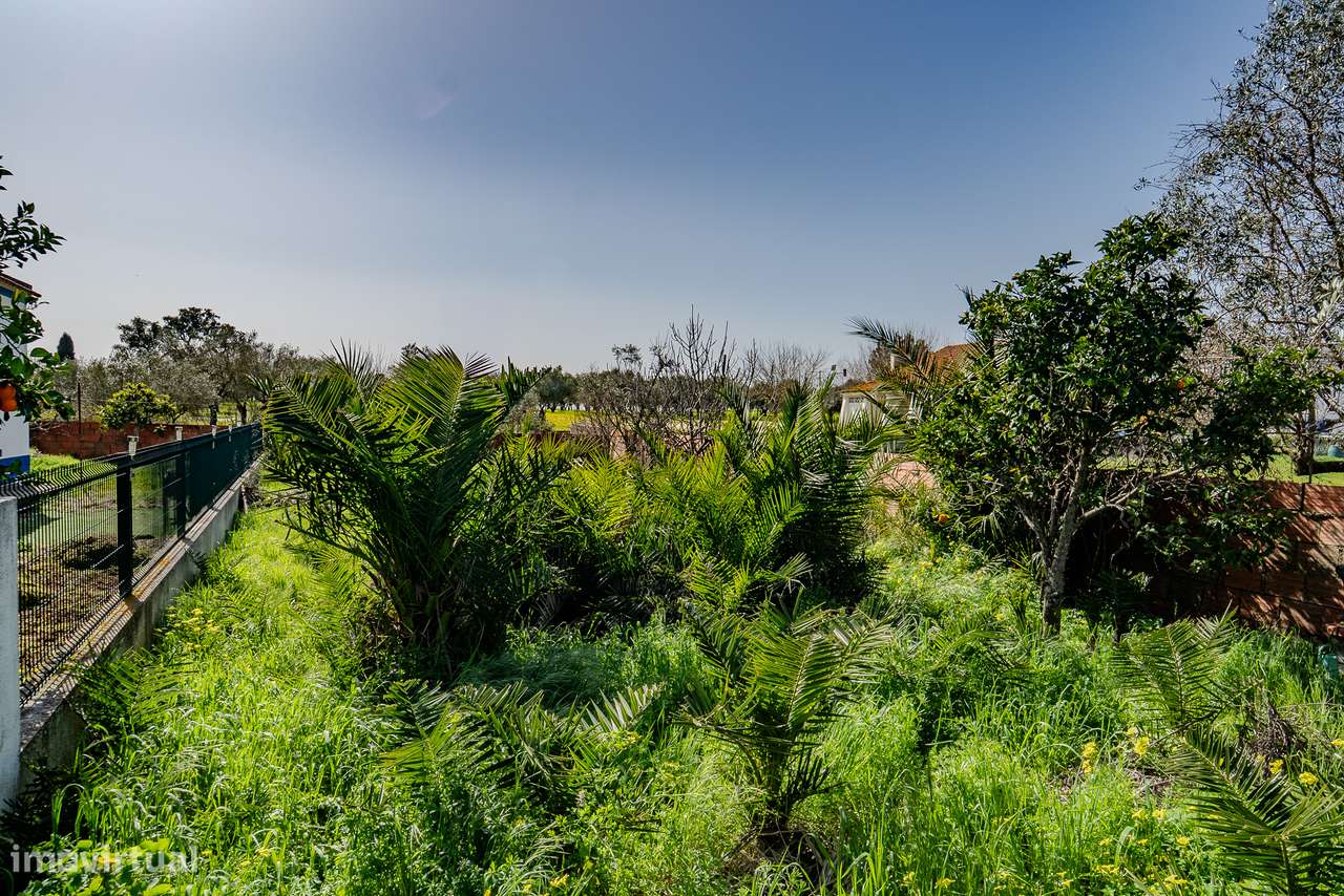 CASA COM QUINTAL | PARA VENDA | FALCOEIRAS-32
