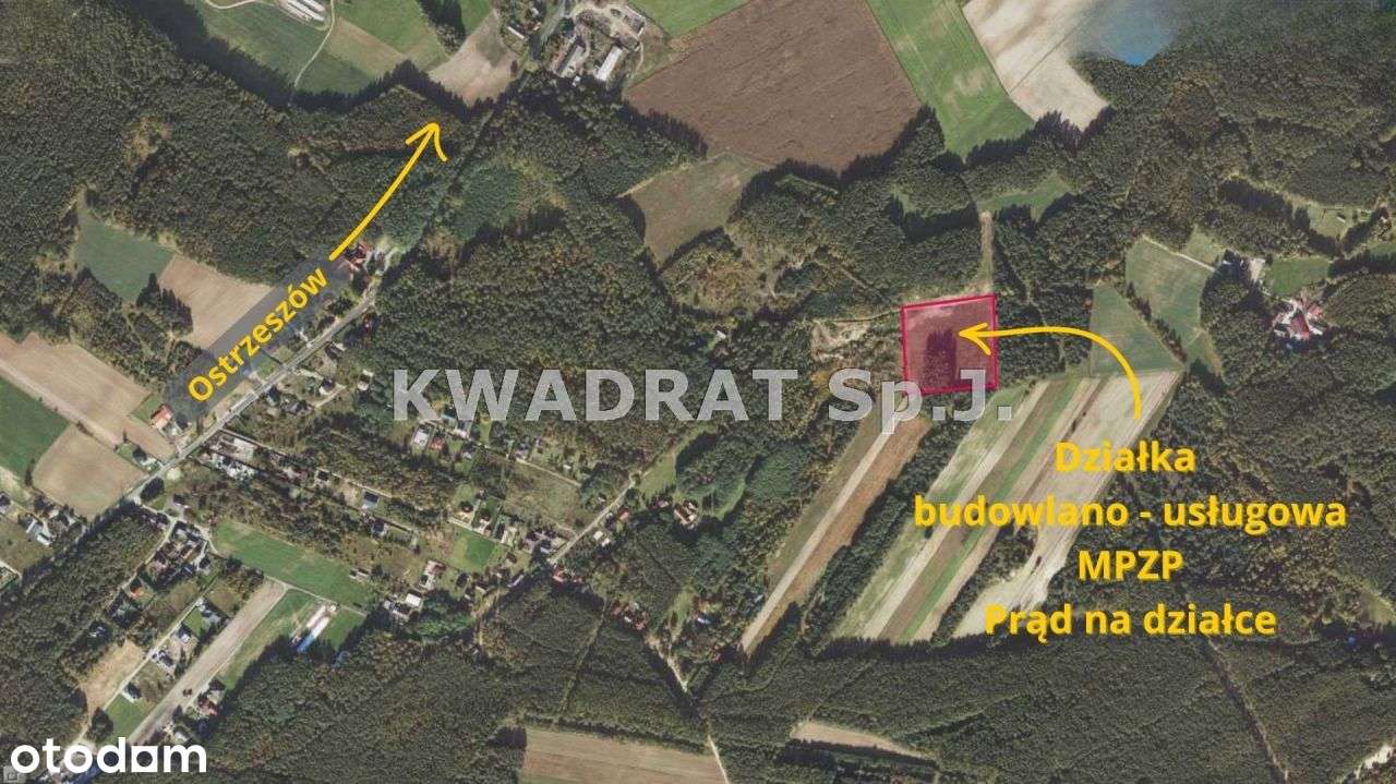 Piękna, duża działka z lasem – Kobyla Góra!!!-2