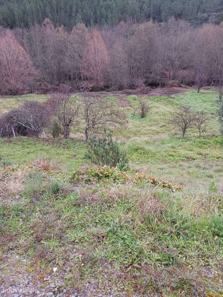 Quintinha - Grande imagem: 3/4