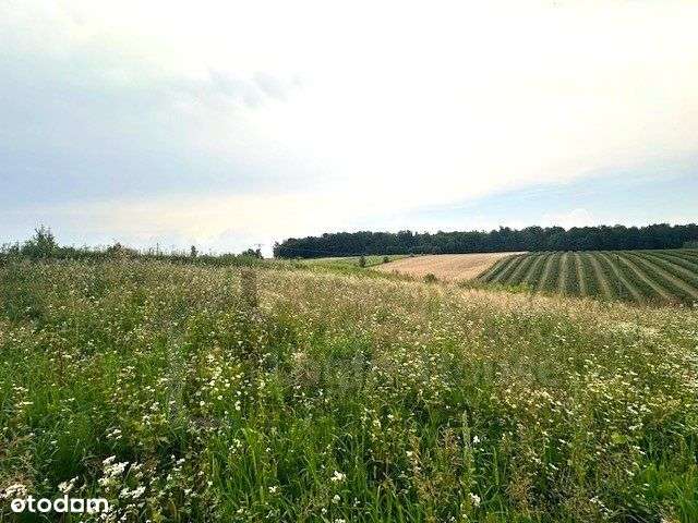 Działka budowlano-rolna niedaleko Kazimierza-10