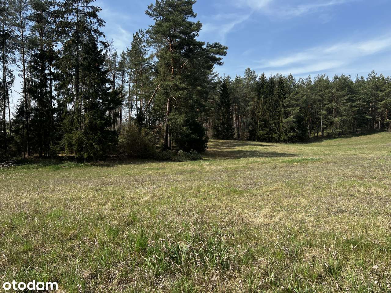 Prywatne Mazury - 4,27ha z linią brzegową jeziora Tałty-9