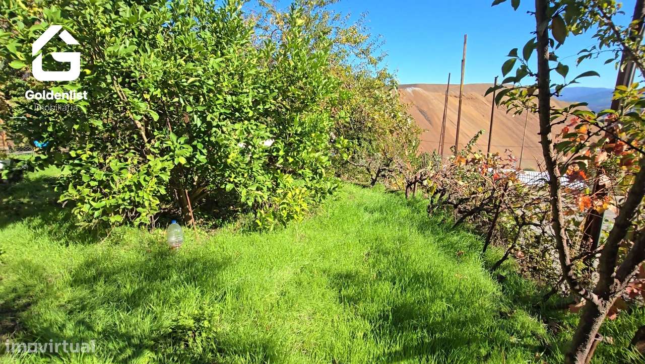 Moradia T6 Venda em Aldeia de São Francisco de Assis,Covilhã-43