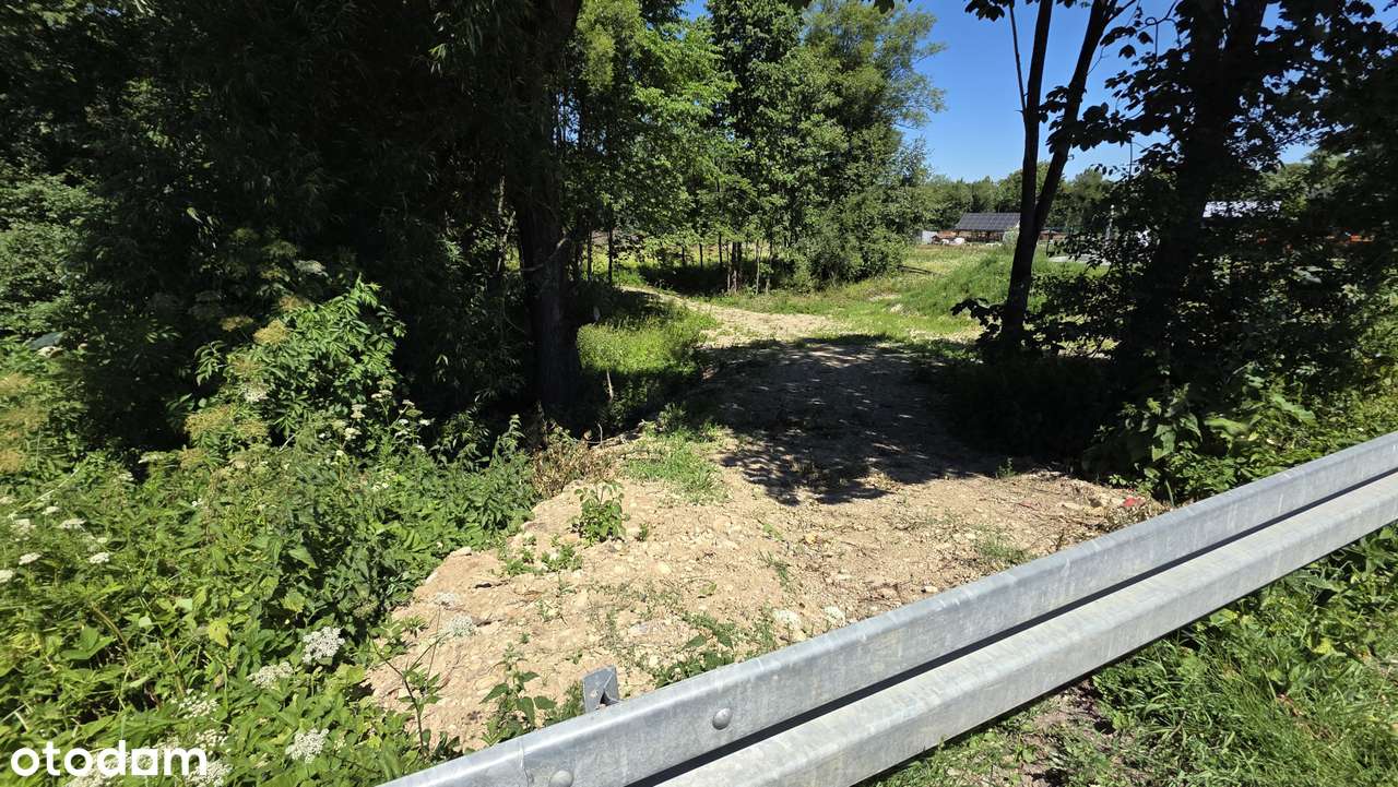 Działka budowlano-leśna. Wybuduj dom w lesie! - Pełny obrazek: 5/13