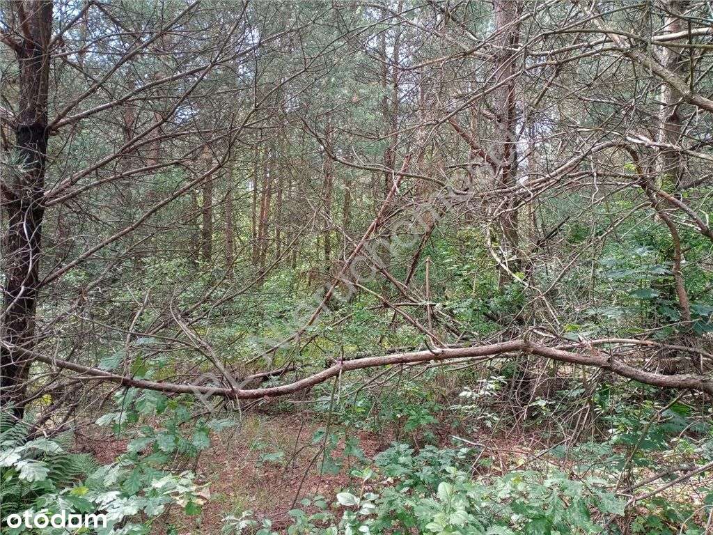 Działka w niedużej miejscowości letniskowej-2