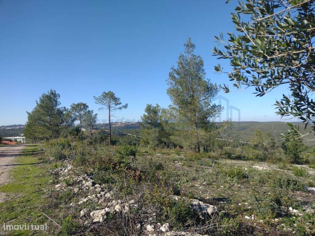 Terreno de 1505m2 urbanizável em Ortiga, Fátima com vista Castelo O...-15