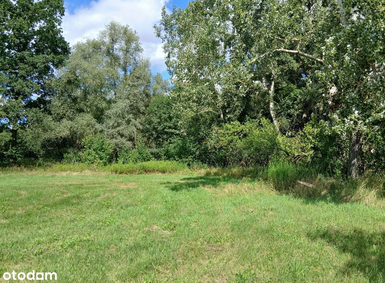 Budowlana 1000m otulona zielenią-3