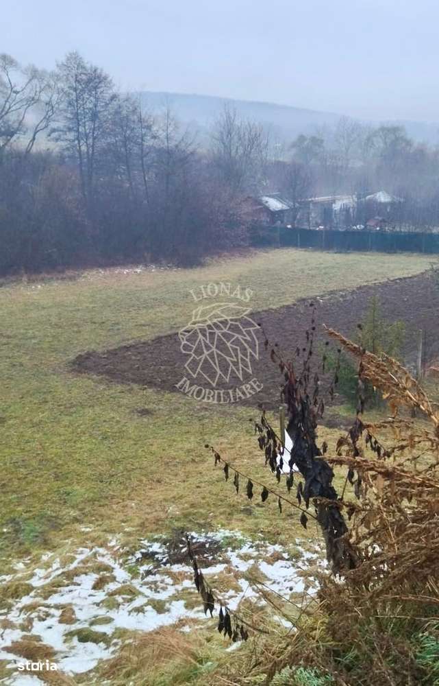 Teren intravilan 1.426 mp -ideal casa P+2- Ghinda - Imagine principală: 3/3
