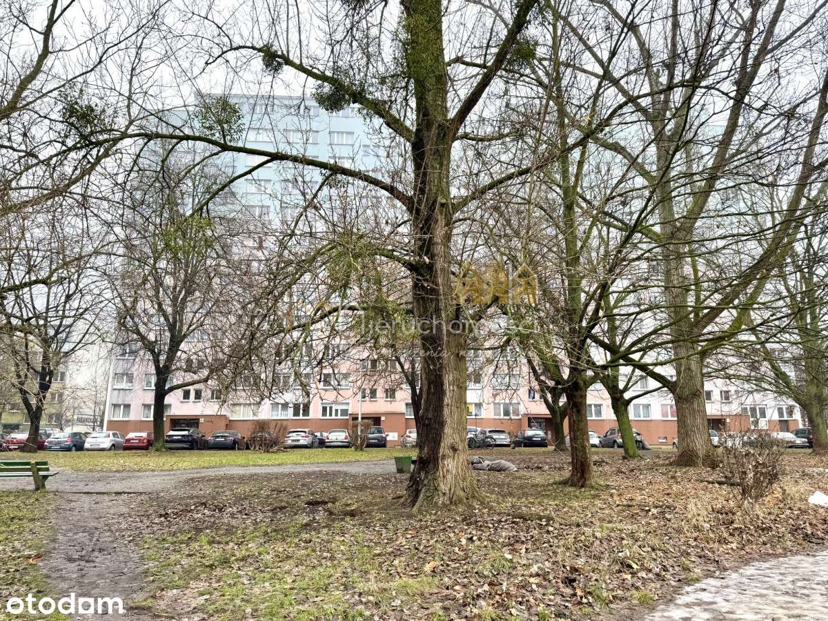 2 pokojowe dwustronne mieszkanie w samym centrum-8