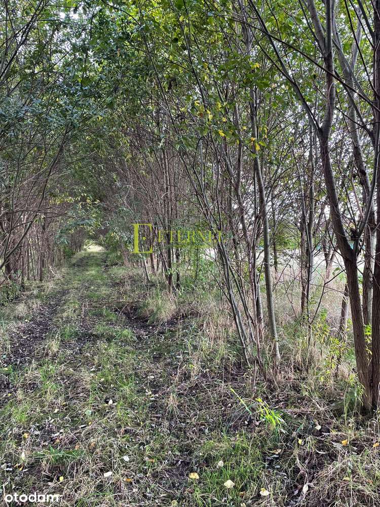 Duża działka inwestycyjna 5703m² – Kraków-Wadów-4