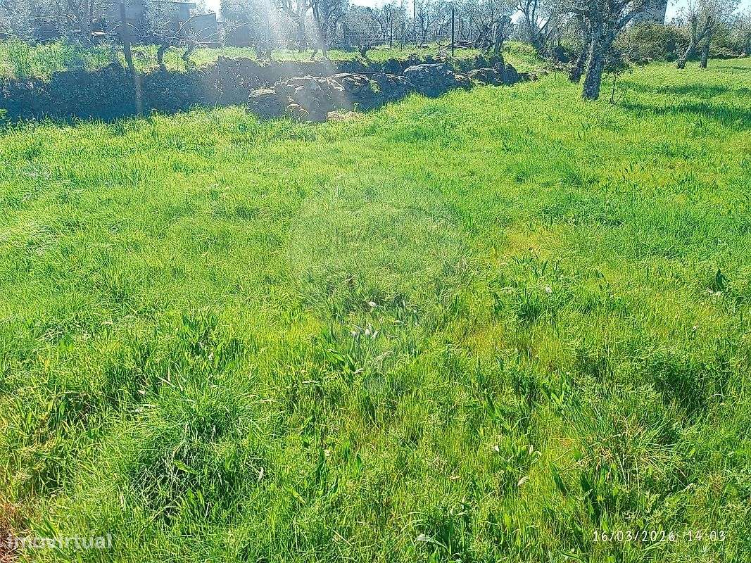 Terreno  para venda - Grande imagem: 5/8