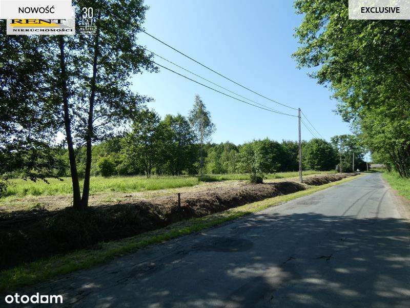 Działka z warunkami zabudowy w pobliżu rzeki lasu - Pełny obrazek: 4/10