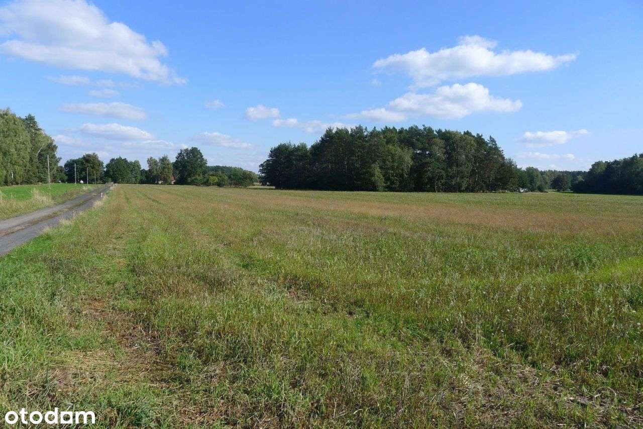 2500 m² – Ignacew Rozlazły, gm. Parzęczew – Mpzp-2