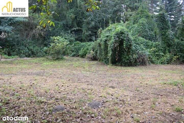 Niepołomice, ul. Leśna Dzierżawa - Pełny obrazek: 4/11