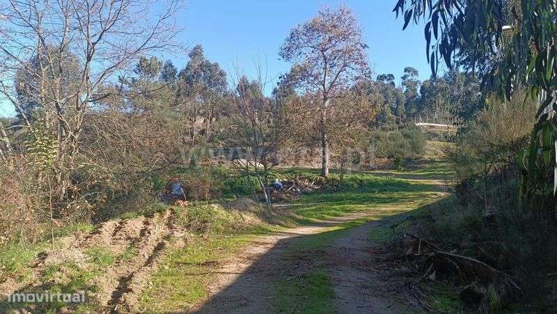 Terreno / Marco de Canaveses, Soalhães - Grande imagem: 5/20