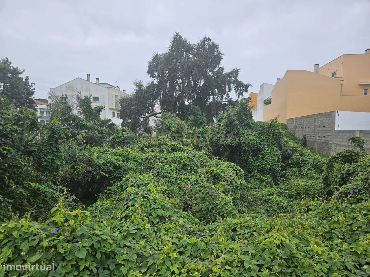 Terreno Urbano Vila Nova da Barquinha - Grande imagem: 4/5