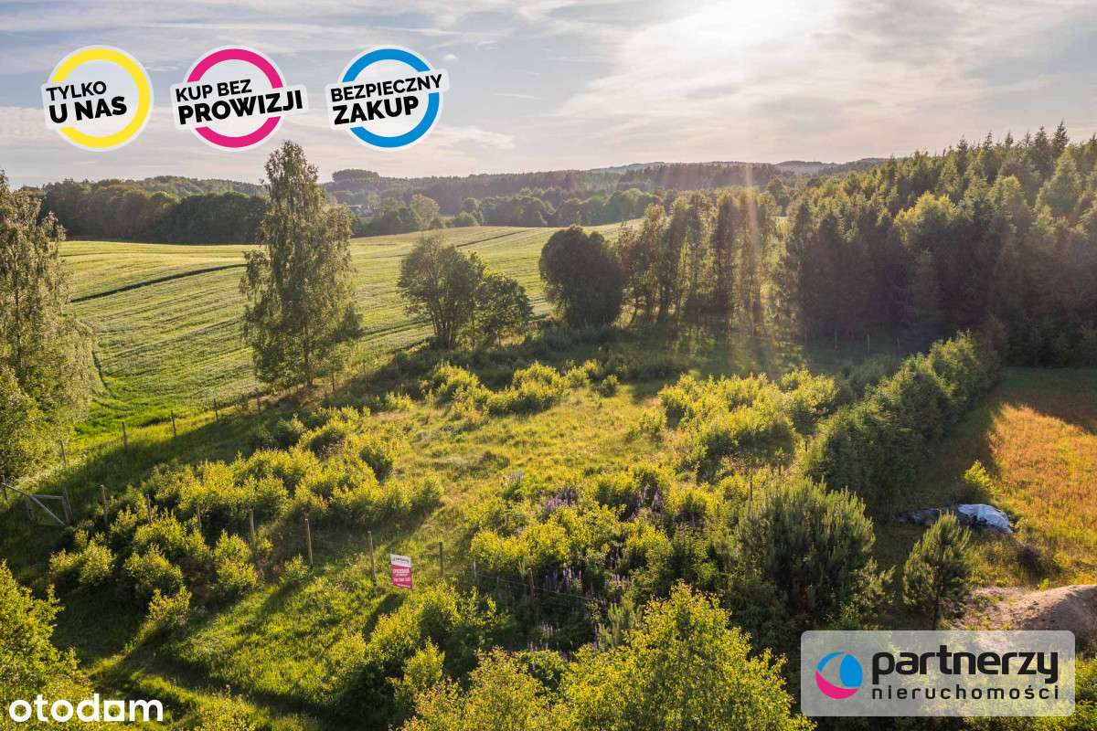 Duża działka w pięknej i spokojnej okolicy ! - Pełny obrazek: 4/14