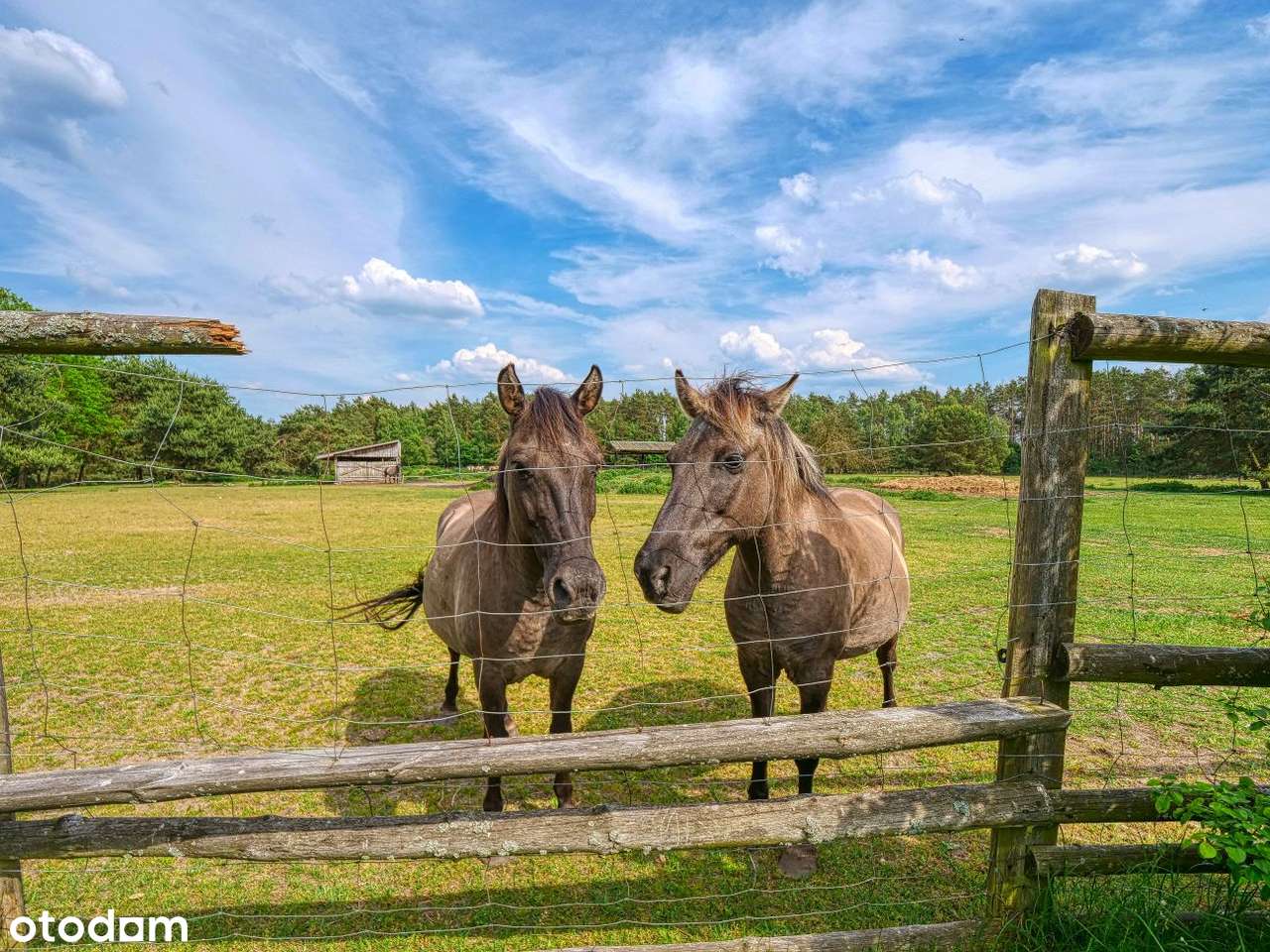 Dom Marzeń w Sercu Natury –  0% Prowizji ! POMPA CIEPŁA Vaillant-18