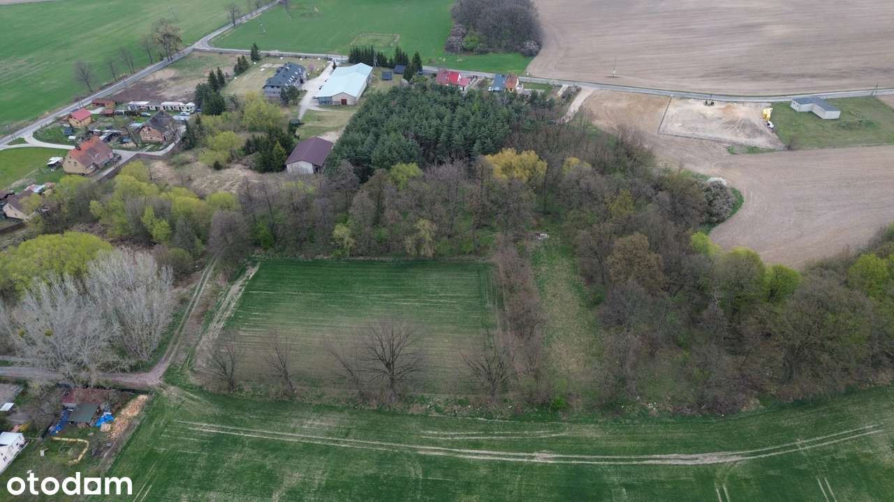 Sprzedaż nieruchomości inwestycyjnej – 3,46 ha | Grzebielin Budowlana-3