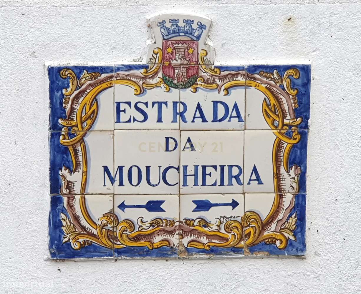 Terreno Urbano com ruína e projeto aprovado para uma moradia T4 na Mou-8