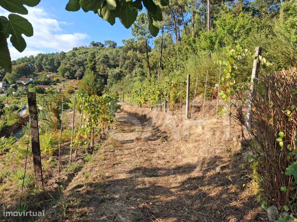 Terreno de construção - Grande imagem: 4/10