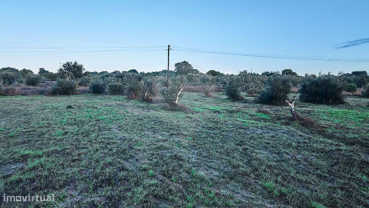 Terreno  para venda-15