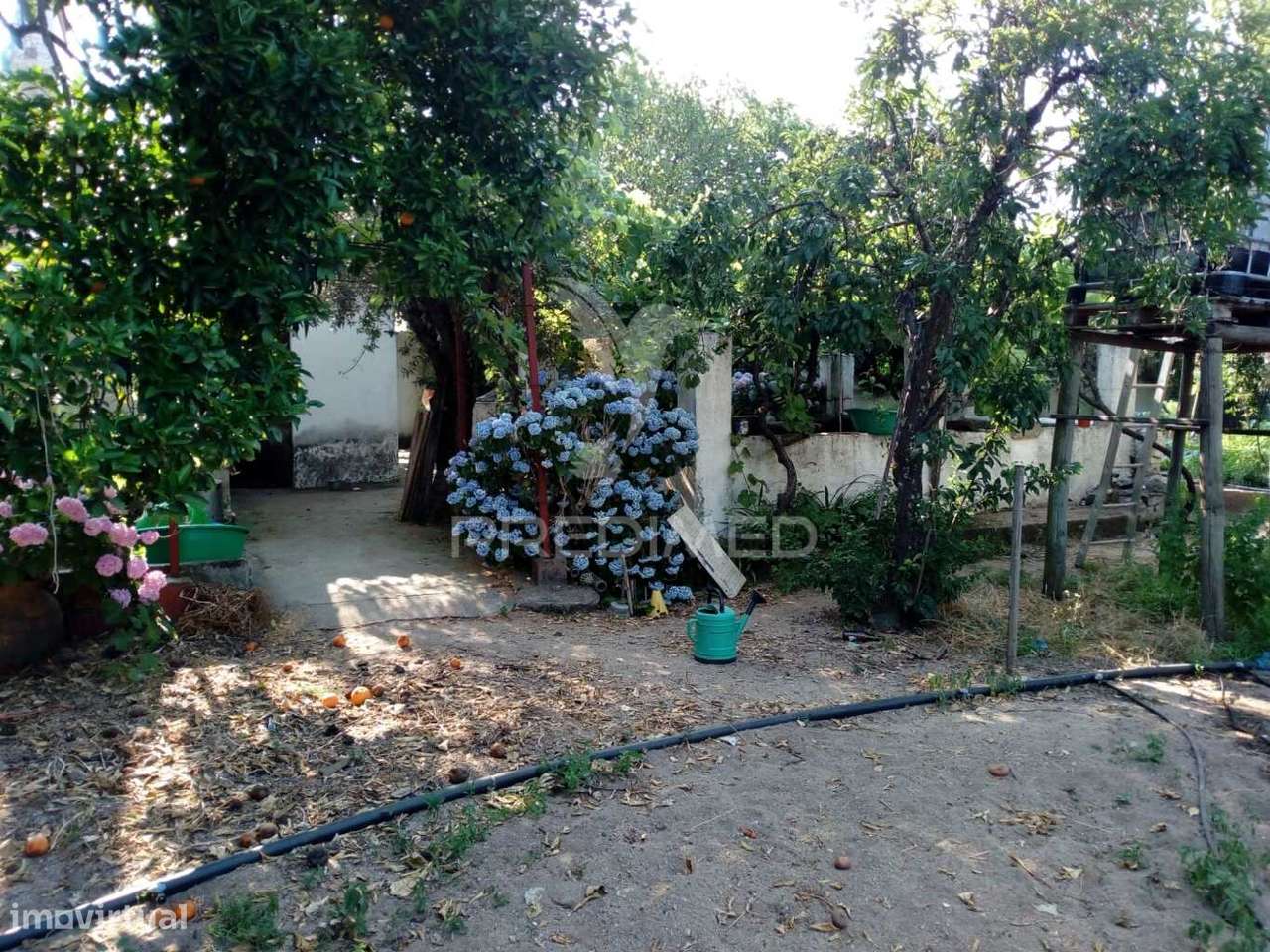 Moradias Bi-familiar com Terreno - Grande imagem: 5/34