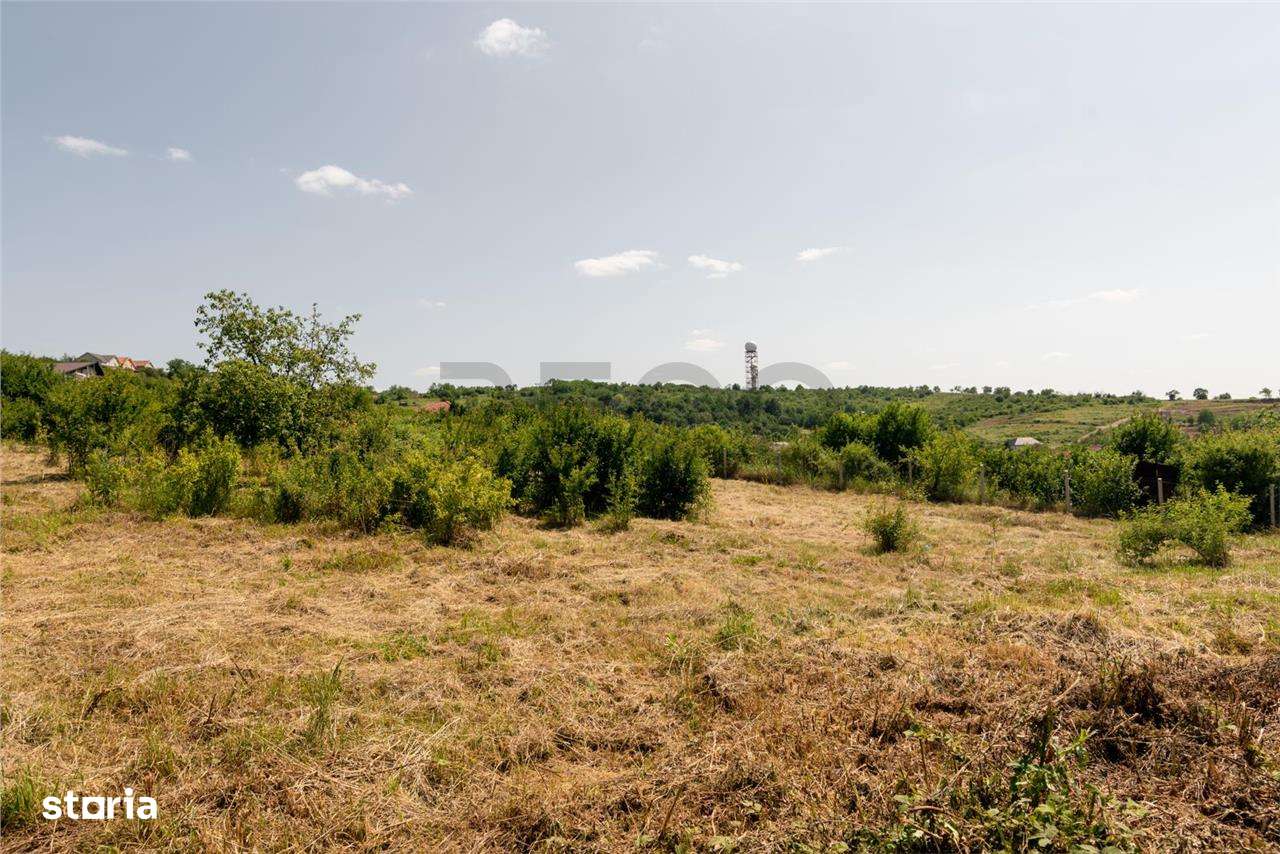 RECO Teren intravilan 1200 mp- front  30ml ,cu utilitati, Paleu - Imagine principală: 2/20