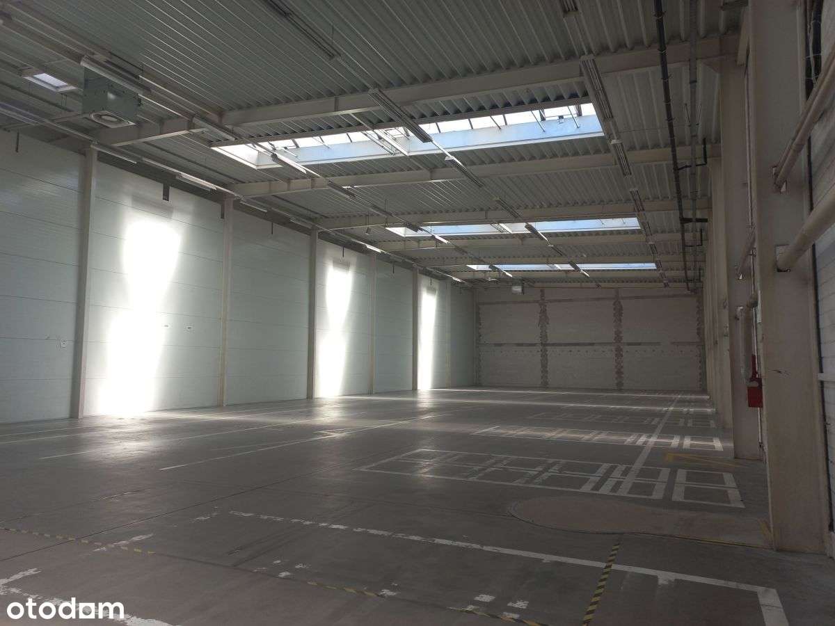 Magazyn przy Aow - Pełny obrazek: 1/6