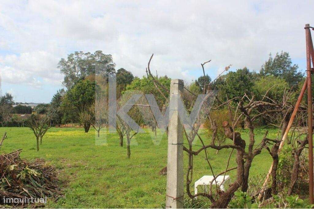 Terreno com 3325 m2 para construção de moradias Santiago da Riba-Ul, O - Grande imagem: 1/16