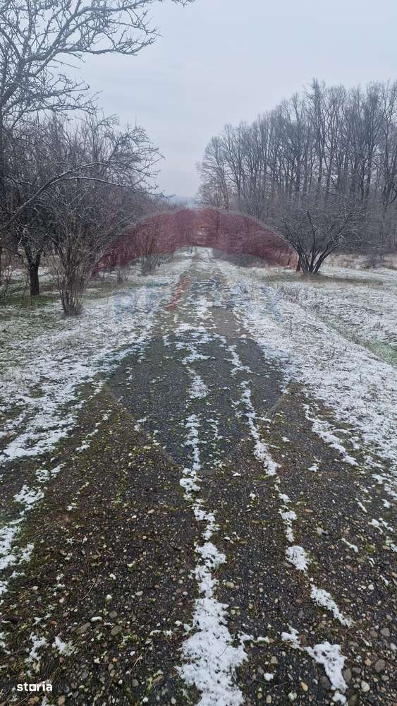 Teren 5,700mp Somcuta Mare / investitie cu potential major-1