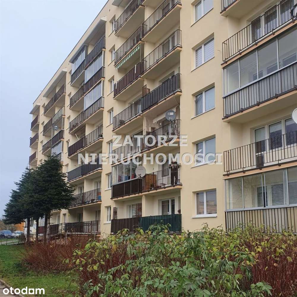 2 pokojowe po remoncie winda Loggia prowizja 0%-15